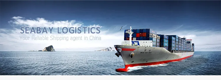 Professional Shipping Company to USA From China/Beijing/Qingdao/Shanghai/Ningbo/Xiamen/Shenzhen/Guangzhou/Hong Kong