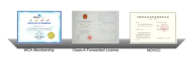 Professional Shipping Company to USA From China/Beijing/Qingdao/Shanghai/Ningbo/Xiamen/Shenzhen/Guangzhou/Hong Kong