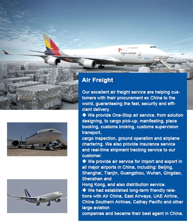 Quality Logistics Services Express Shipping China to Argentina Transport Freight Forwarder Logistics Service Door to Door