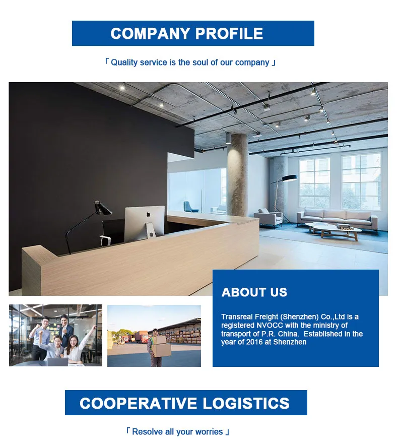 Quality Logistics Services Express Shipping China to Argentina Transport Freight Forwarder Logistics Service Door to Door