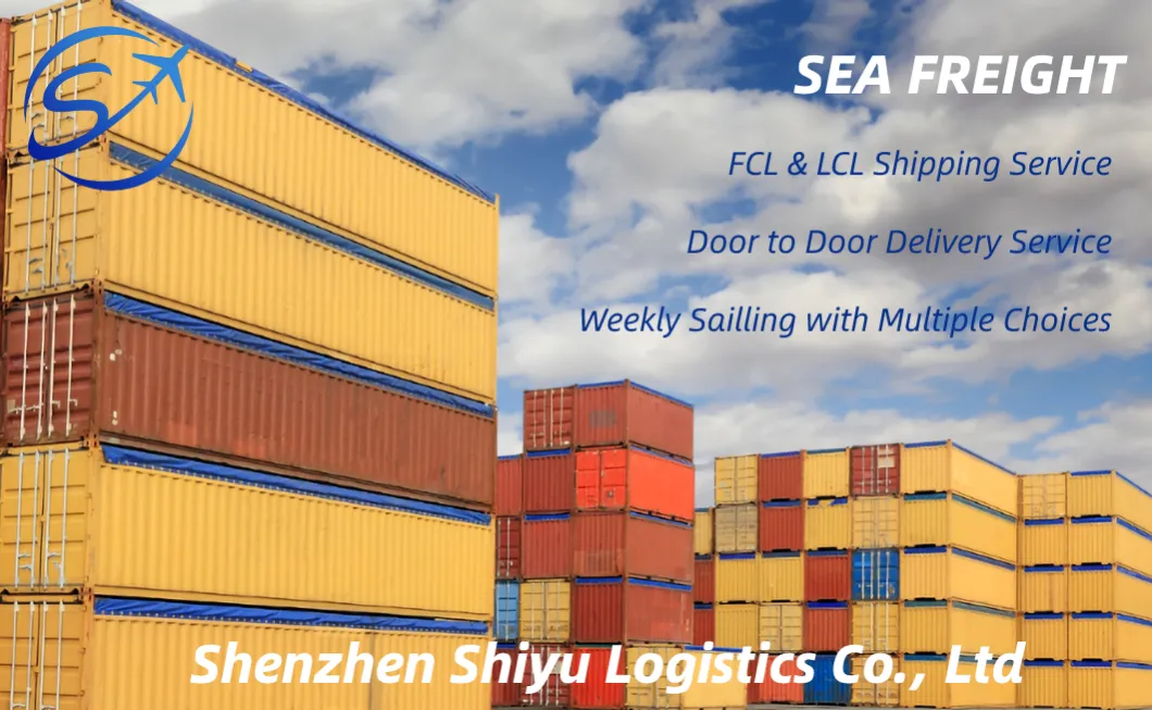 Reliable DDP Sea Freight Drop Shipping From Shenzhen/Guangzhou to Southeast Asia Thailand/Philippines/Singapore/Malaysia