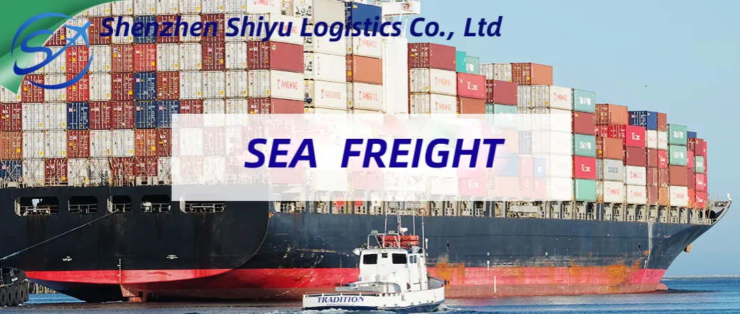 Reliable DDP Sea Freight Drop Shipping From Shenzhen/Guangzhou to Southeast Asia Thailand/Philippines/Singapore/Malaysia