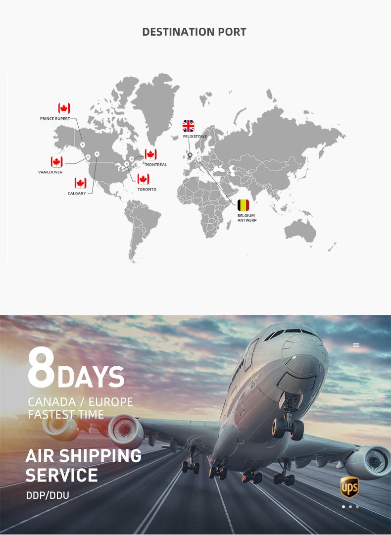 Reliable Delivery International Logistics to Europe All Address