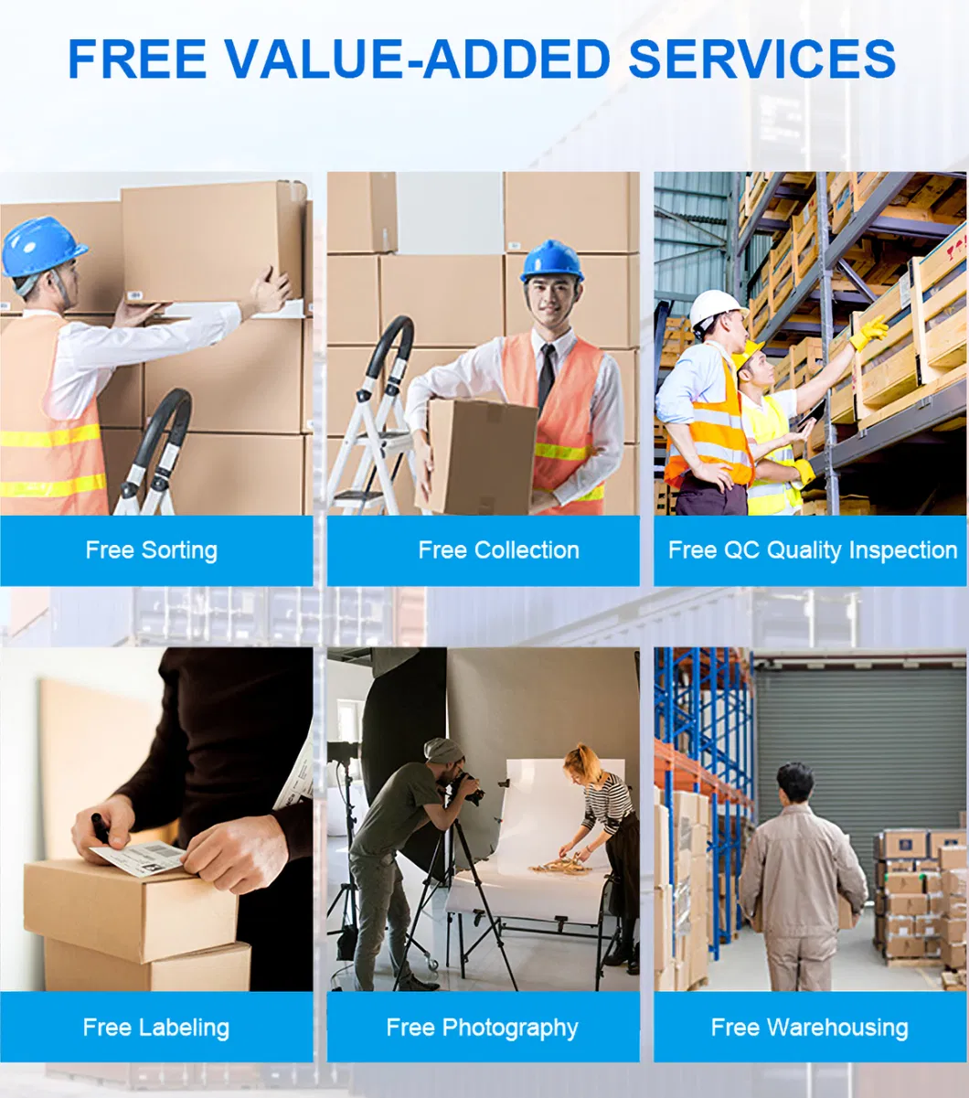 Reliable Freight Forwarder Sea Air Cargo with Door to Door Service Transport