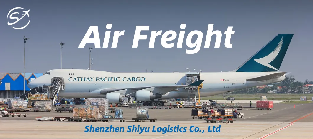 Reliable Freight Forwarder Sea Air Cargo with Door to Door Service Transport