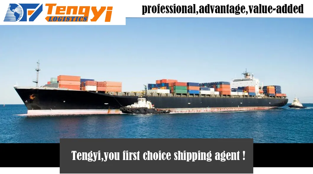 Reliable International Air/Sea Freight Cargo Fast Shipping From China to Hungary