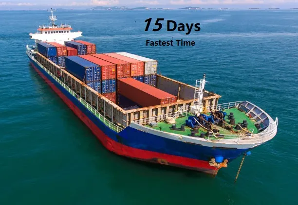 Reliable Sea Forwarder Shipping Freight to Latin America Shipping Agent