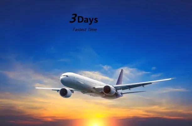Reliable Sea Forwarder Shipping Freight to Latin America Shipping Agent