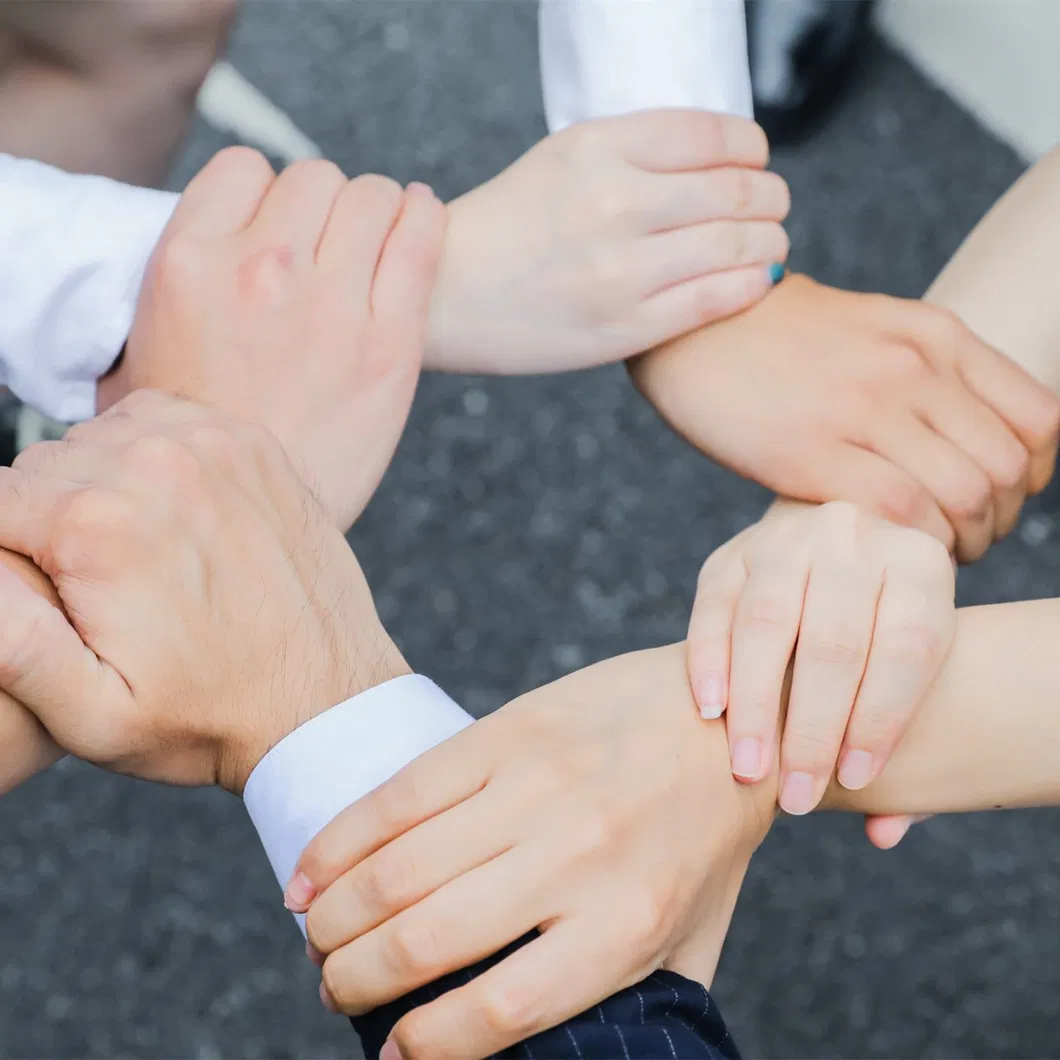 Reliable Shipping Agent/ shipment Consolidation Freight Fowarder/International Transportation Logistics From China to Santaisabel Malacca Malaga Male