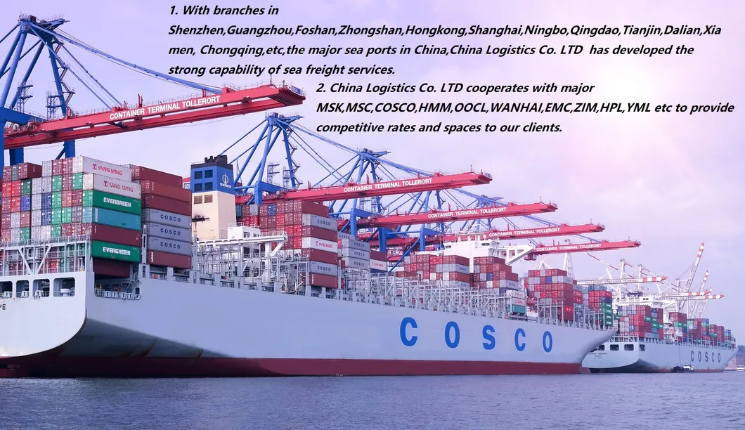 Safe and Professional Sea Freight Shipping to Tuxpan/Veracruz/Monterrey/Queretaro