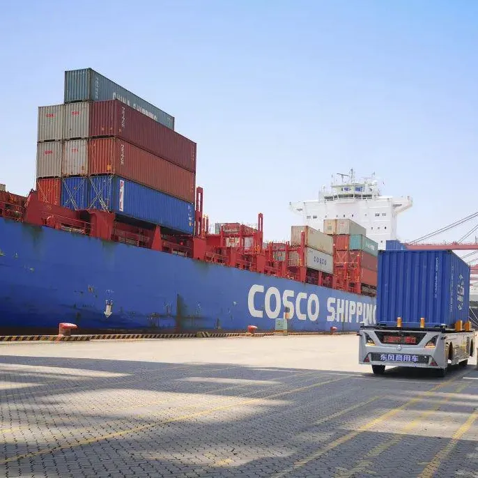 Sea Freight Container Transport Forwarding Service /Ocean Shipping Freight Logistics Forwarder From China to Benin /Biafra/ Bophuthatswana/Botswana/ Somaliland