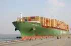 Sea Freight Shipping From Shenzhen/Foshan/Guangzhou/Shanghai/Ningbo/Qingdao/Tianjin/Xiamen/Hongkong to Istanbul/Mersin/Izmir/Gemlik Turkey