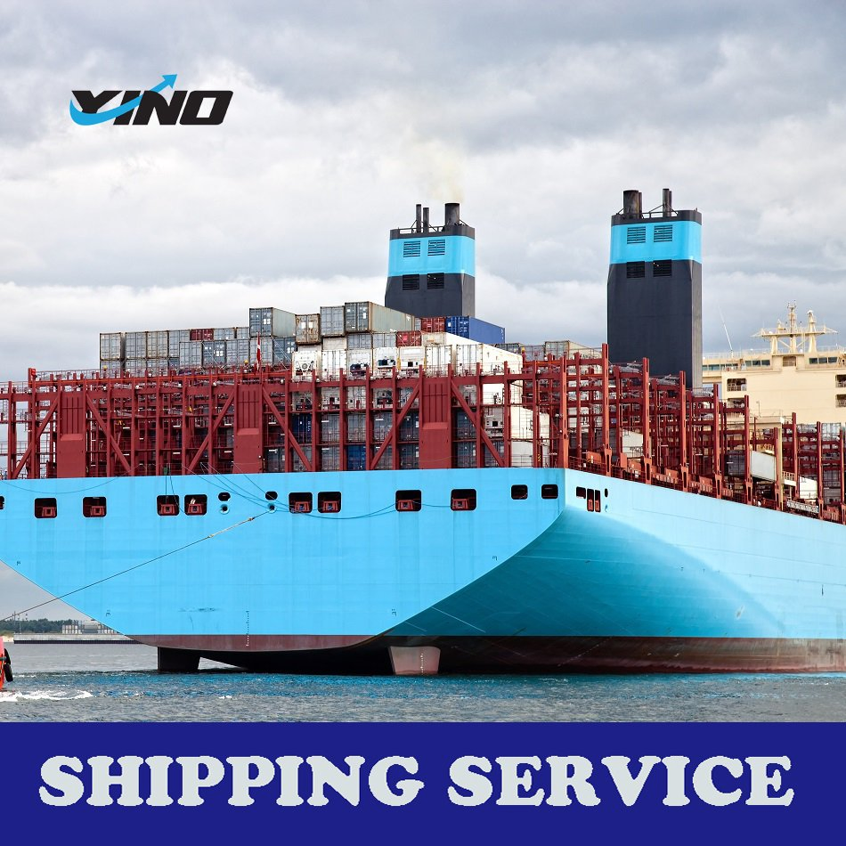 Sea Freight to Saudi/Arabia/South Africa From China Low Price Shipping Forwarding Agent