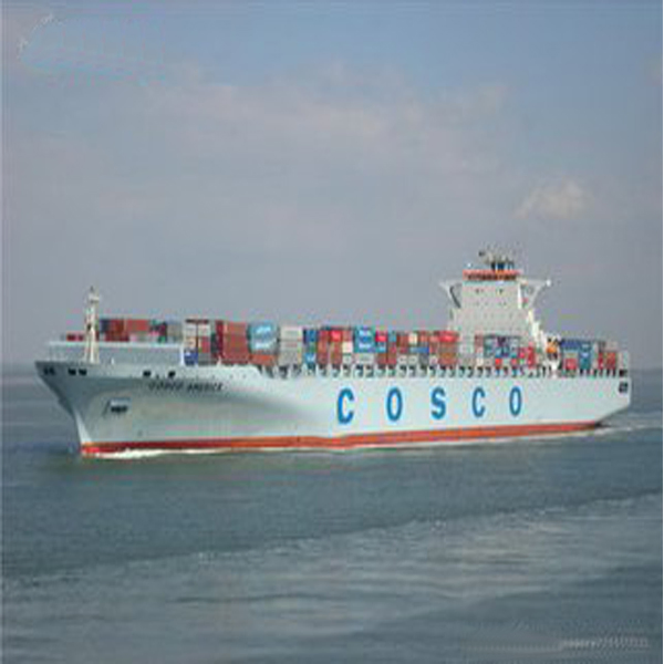 Sea Shipment From China to All Over The World