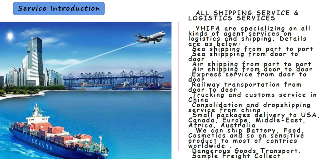 Sea Shipping Freight Forwarder 20 FT 40FT 40hc 45hc Container From China to Balboa, Colon Free Zone, Cristobal, Manzanillo, Panama