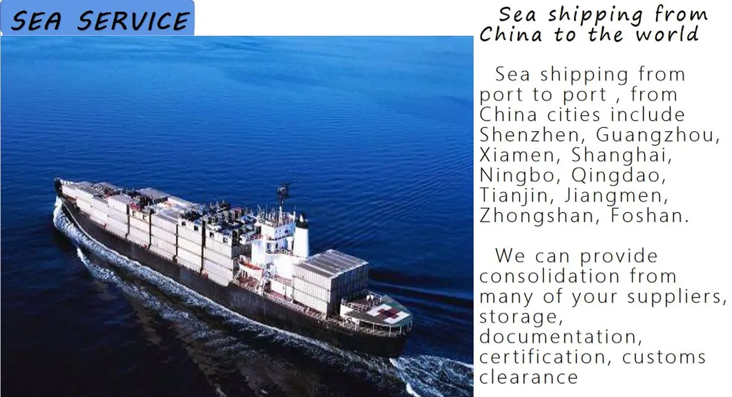 Sea Shipping Freight Forwarder 20 FT 40FT 40hc 45hc Container From China to Doha, Hamad Port, Umm Said Qatar