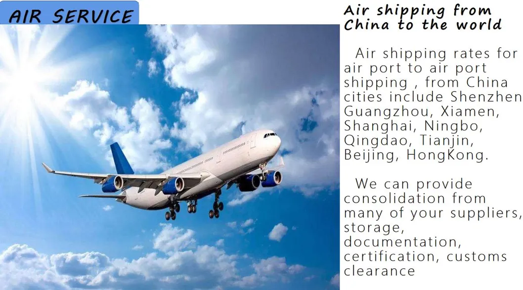 Sea Shipping Freight Forwarder 20 FT 40FT 40hc 45hc Container From China to Doha, Hamad Port, Umm Said Qatar