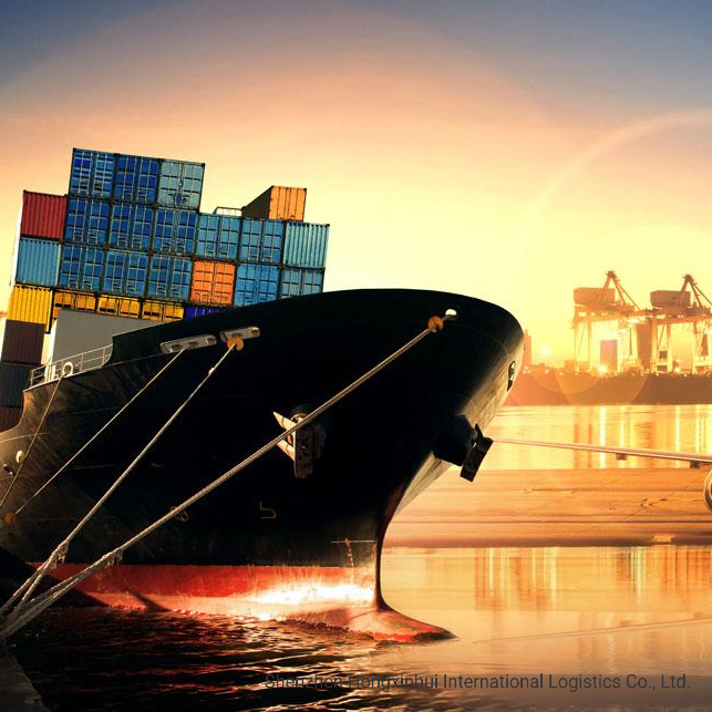 Sea Shipping LCL Freight Forwarder From China to Nagoya Japan Professional Fast Reliable Logistics Services