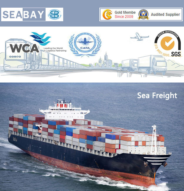 Shanghai Ocean Freight to Abu Dhabi