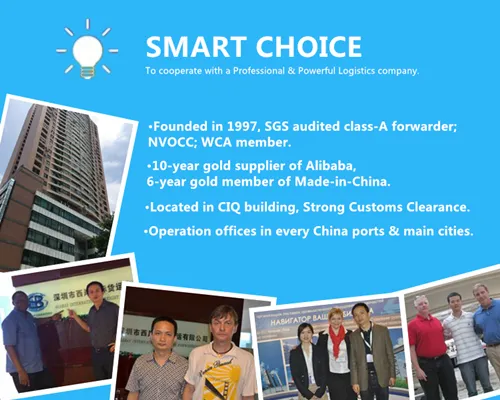 Shanghai Ocean Freight to Abu Dhabi