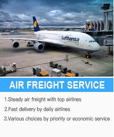 Shenzhen Firebird Logistics Middle East Cheapest Air Freight to Singapore