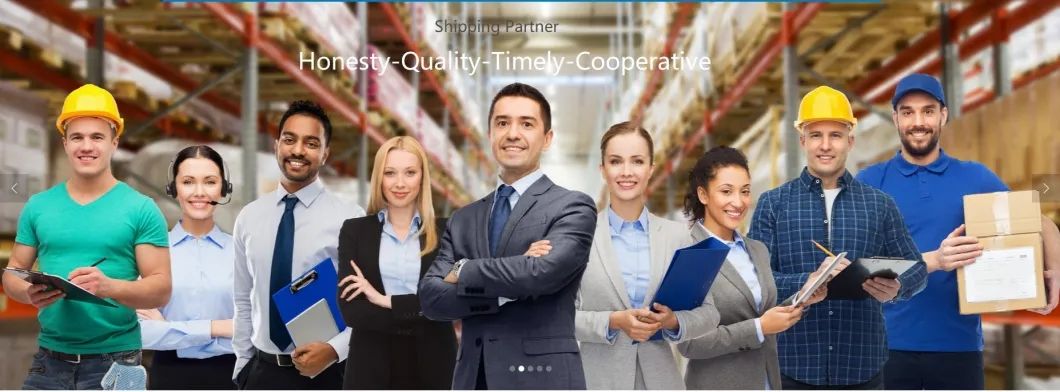 Shenzhen to Lazaro Cardenas with DDP Shipping Service Sea Freight Shipping