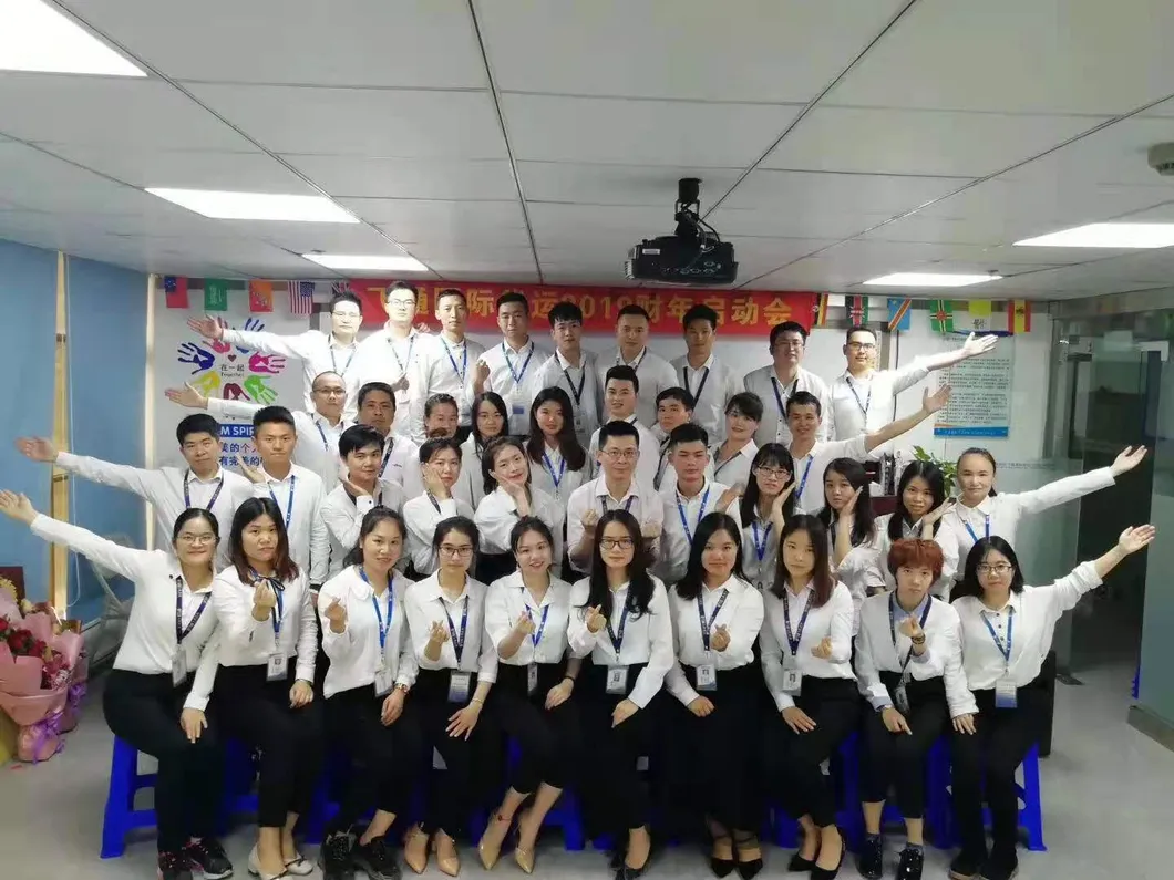 Shipping Company Logistics From China to Brno Salzburg Czech