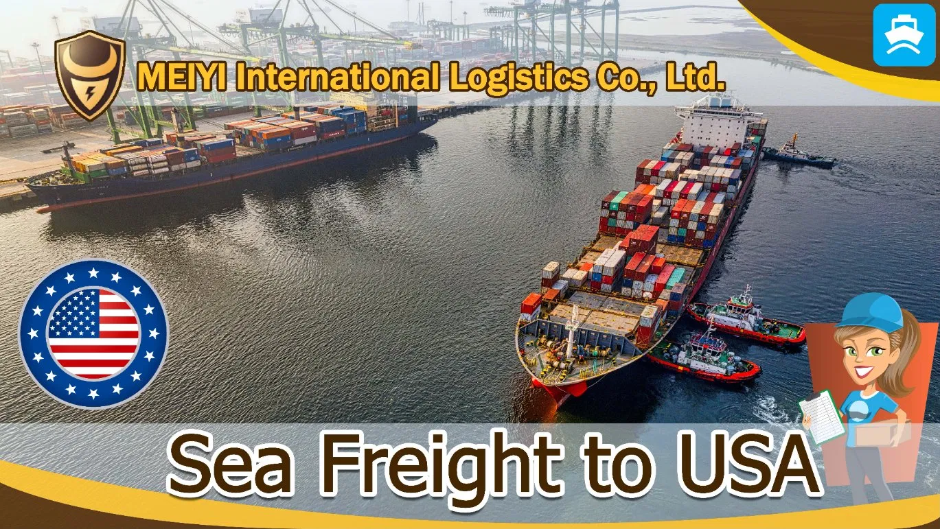 Shipping service from China to Chad by sea freight door-door shipment DDP DDU international forwarder