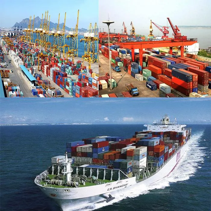 Shopify Dropshipping Agent 6-12 Days Fast Shipping to Us/Au/EU with 1688 Sourcing and Inspection Service / Ebay /Amazon /Door to Door by DHL UPS FedEx TNT EMS