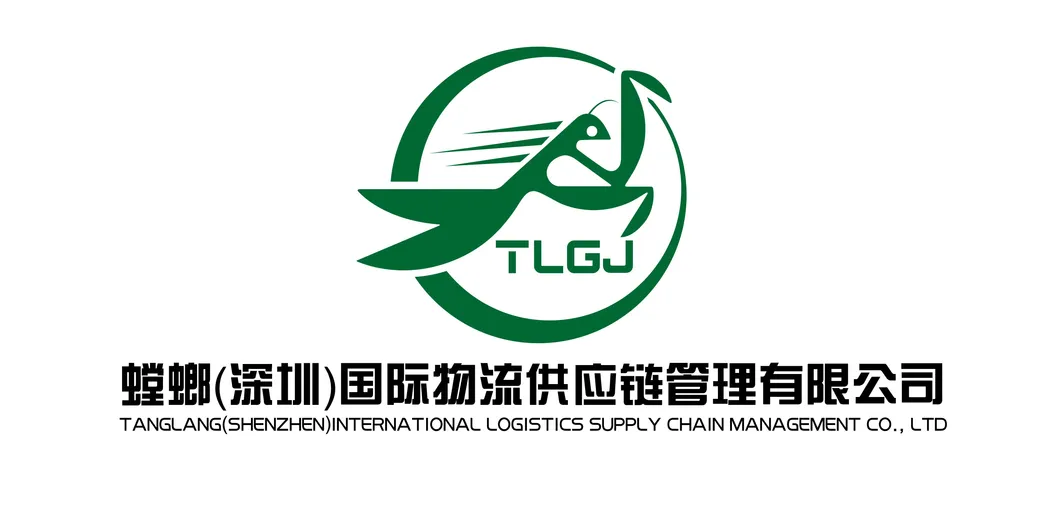To10 Logistics Company Provide United Arab Emirates Dubai DDU Delivery by Air Freight Forwarders Shipping Services