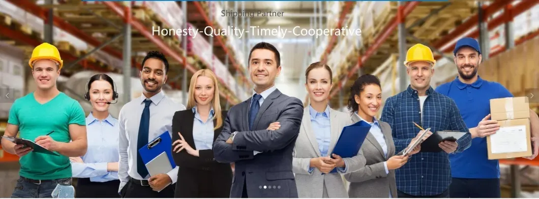 Top and Professional Freight Forwarder Sea Freight Shipping to Navegantes/Rosario/Vienna