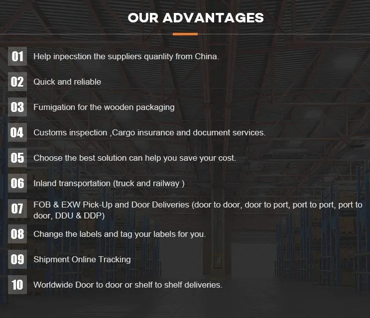 Transport Shenzhen/Guangzhou to Kuwait Reliable Sea Freight Forwarder DDP