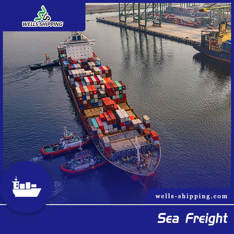 Wells Shiping Sea Cargo Freight Forwarder From Ningbo to Vilnius