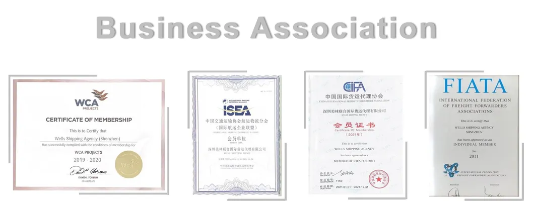 Wells Shiping Sea Cargo Freight Forwarder From Xiamen to Lithuania