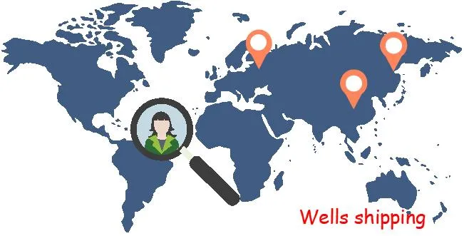 Wells Shipping Air Cargo Freight Service From Szx to Tallinn