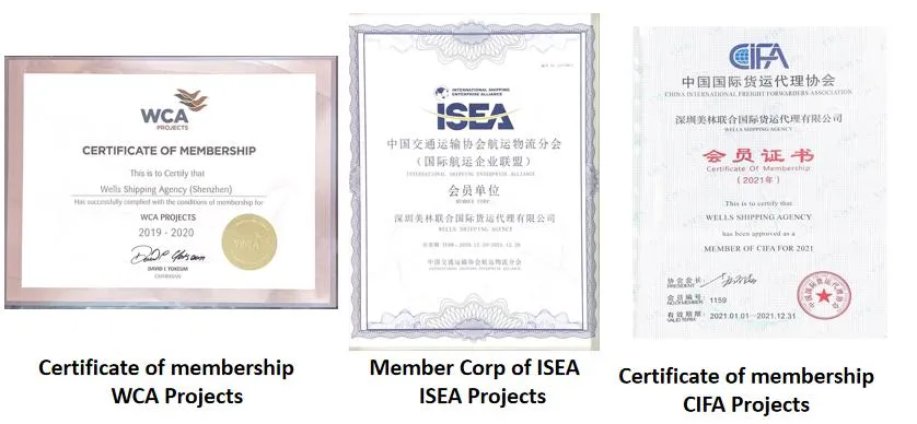 Wells Shipping Air Cargo Freight Service From Szx to Tallinn