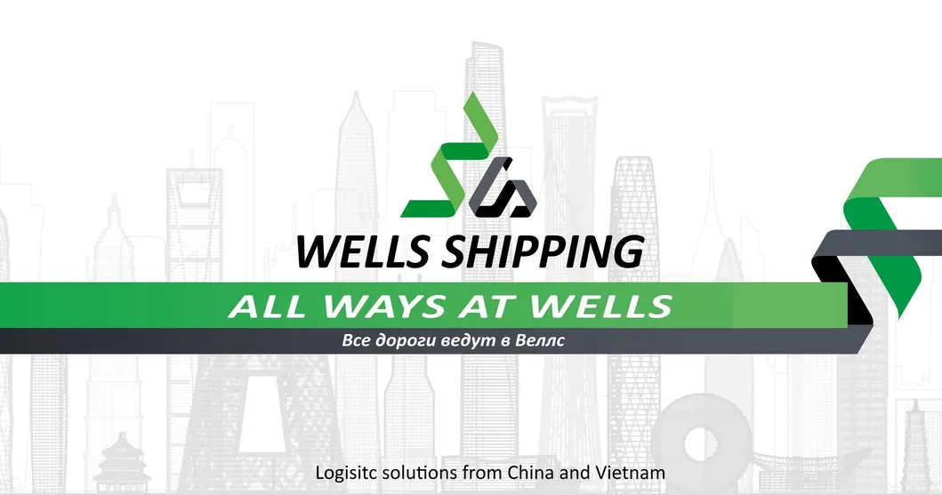 Wells Shipping Sea Freight Forwarder Service From Hongkong to Vostochny