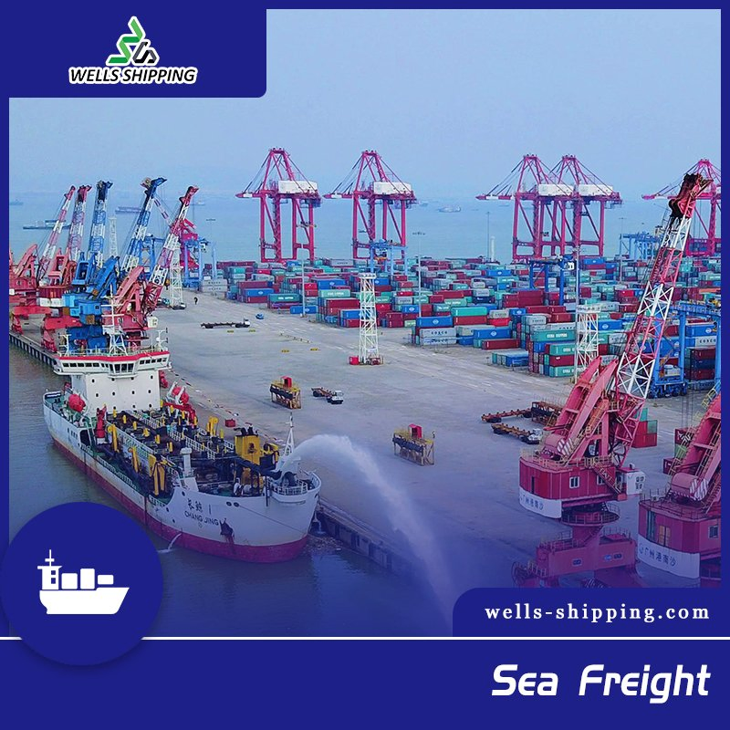 Wells Shipping Sea Freight Forwarder Service From Hongkong to Vostochny